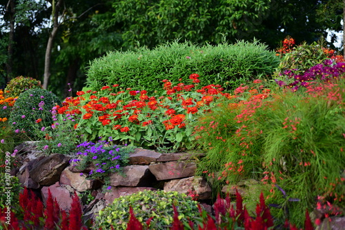 Gardens with flowers and ornamental plants. #307875699
