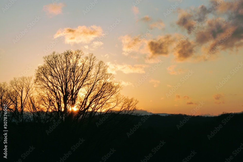 Sunset Over the Blue Ridge Mountain in Autumn with Leafless Trees