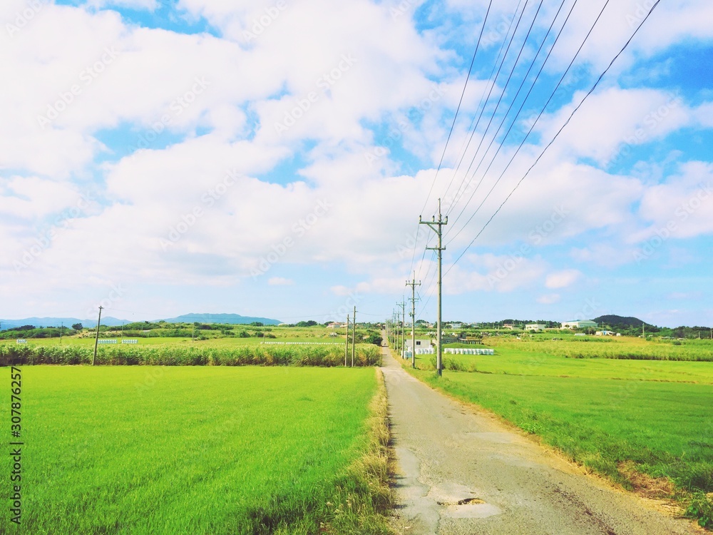 小浜島のシュガーロード草原と日本の田舎道の風景
