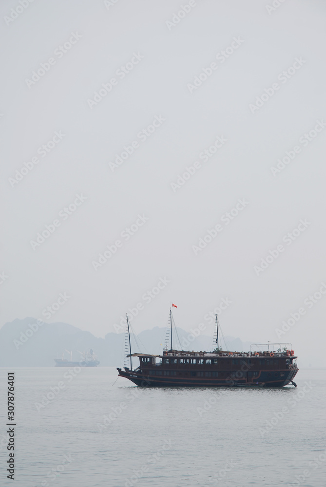Cruise sailing at Halong Bay, Vietnam