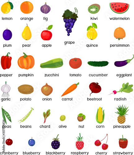 Big set of different ripe fruits and vegetables isolated on white background photo