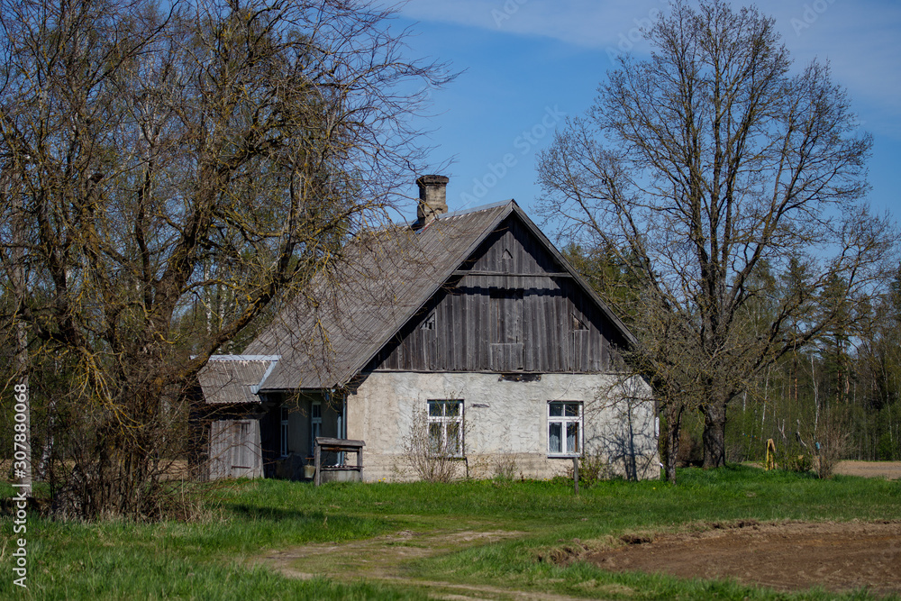 Abandoned farmstead in the north-east of Latvia in early spring, when the first grass has just sprouted and the trees still have a shelf for leaves, this house is old