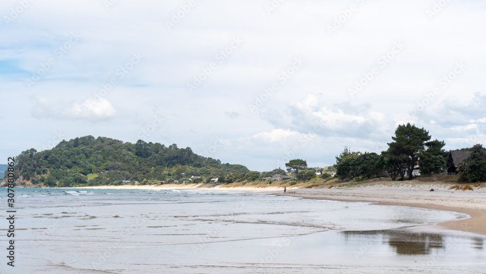 View of Whangapoua Beach from New Chums Beach Walkway in Coromandel Peninsula, New Zealand