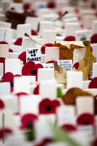 Принти на полотні Remembrance Day: Lest We Forget