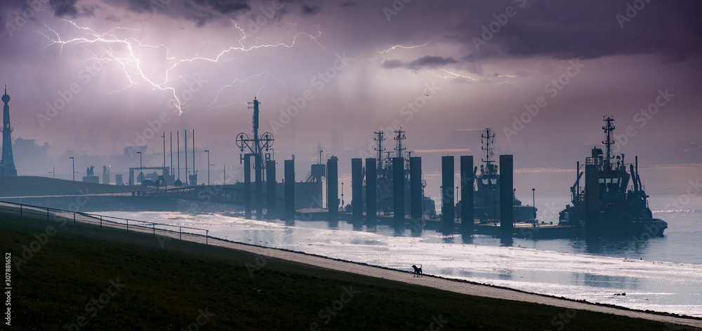 Fototapeta premium Hafen Bremerhaven im Gewitter mit Hund