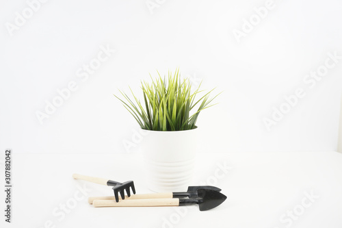 Gardening tools and plant over white background