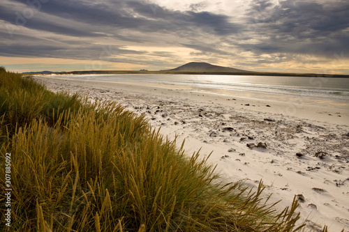 Four Mile Beach and Elephant Bay - Falkland Islands