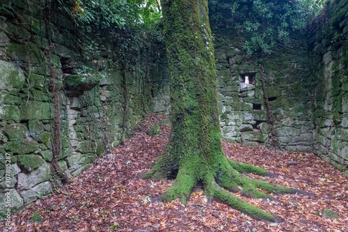 Mystische Villa, ein Lost Place in Galicien photo