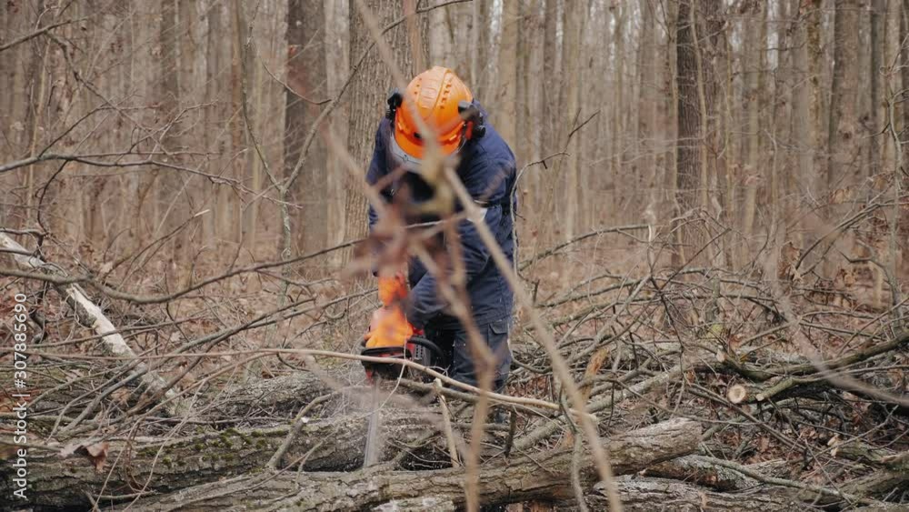 A man in uniform cuts a dead tree, branches with a chainsaw, slow-motion A man in uniform cuts a dead tree, branches with a chainsaw, slow-motion