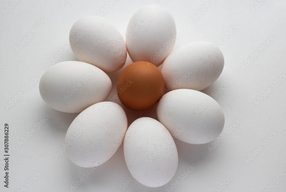 Single brown chicken egg isolated on white Single brown chicken egg isolated on white