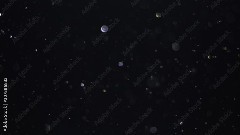 particles on black background, abstract overlay with particles and bokeh particles on black background, abstract overlay with particles and bokeh