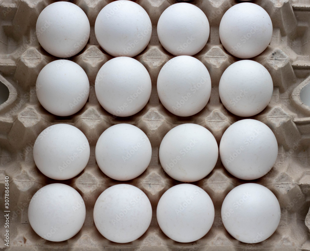 Chicken egg is half broken among other eggs Chicken egg is half broken among other eggs