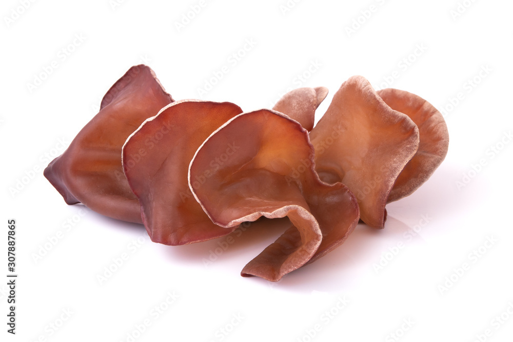 Wood ear, Edible mushroom with isolated on white background. Closeup