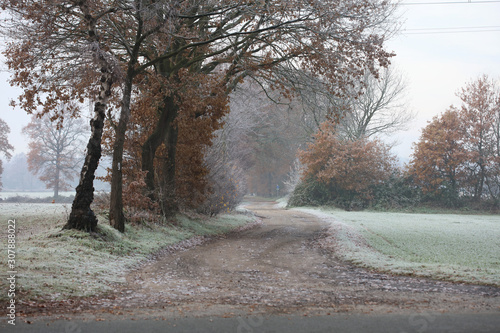 Forest road in wind nature background Dorsten Rhade high quality prints photo