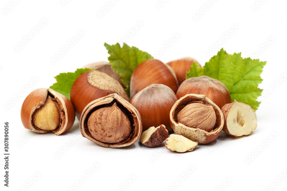 Hazelnut nut many leaves isolated on a white background as a packaging design element