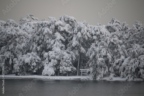 雪景色