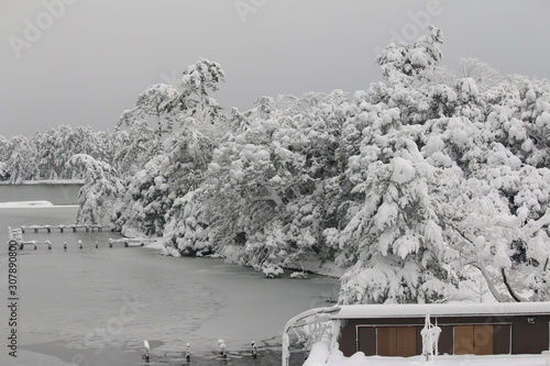 雪景色