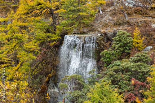 Waterfall with autunm leaves in Yading Nature Reserve  Sichuan  China