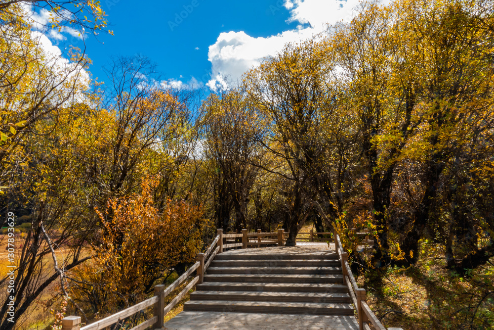 Nature landscape image,Snow Mountain in daocheng yading,Sichuan,China.