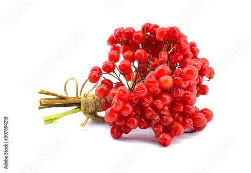 Bunch viburnum with ripe berries tied twine isolated on a white background.