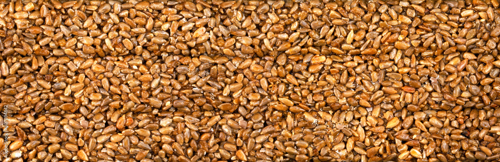 Sunflower Seeds in honey. Background. Texture. Sunflower Seeds in honey. Background. Texture.