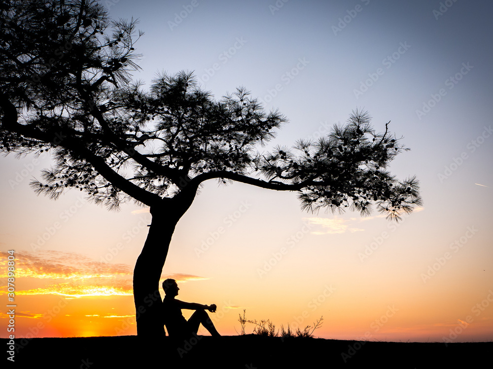 the silhouette of a man sitting under a tree at sunrise