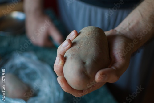closeup of hand holding a potato