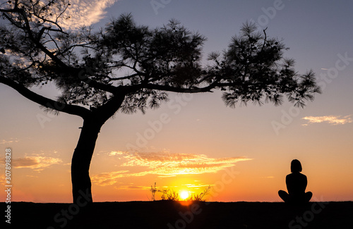 the silhouette of a woman sitting by a tree at dawn