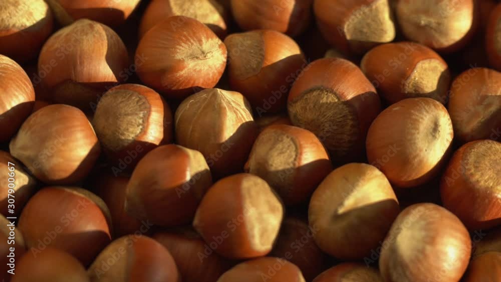 Walnut close up. product rich in minerals and vitamins. Hazelnut turns in a shot. Hazelnut kernels rotating. Hazelnut close up lies under beams of the sun. Macro 4K Walnut close up. product rich in minerals and vitamins. Hazelnut turns in a shot. Hazelnut kernels rotating. Hazelnut close up lies under beams of the sun. Macro 4K