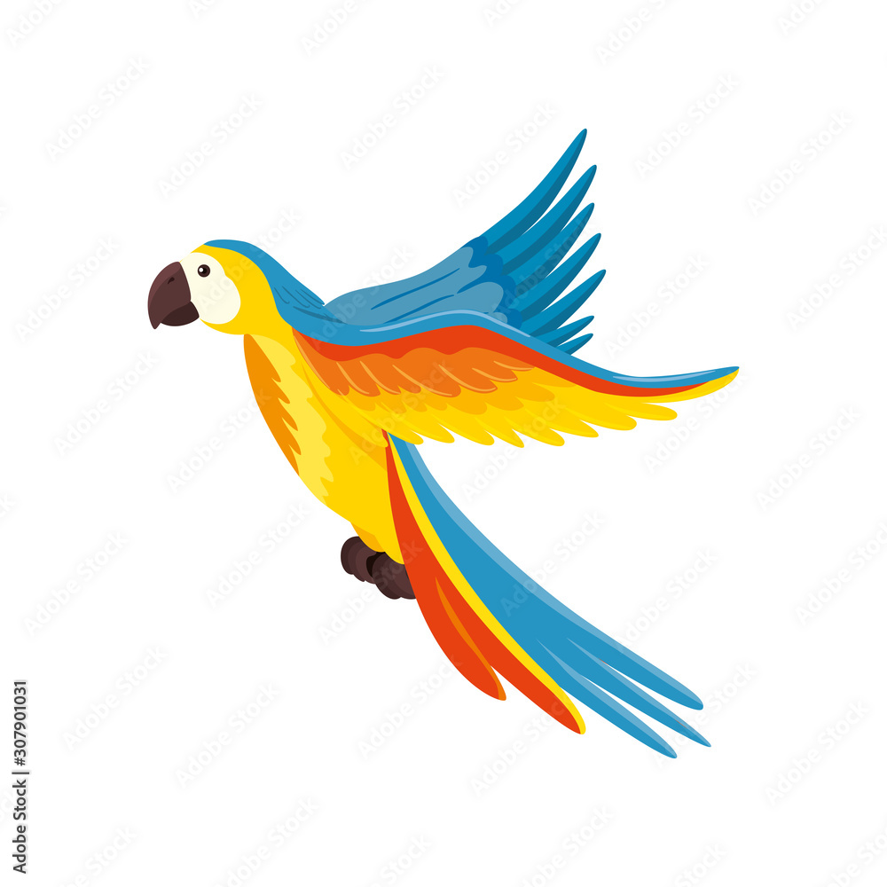 parrot animal exotic isolated icon vector illustration design