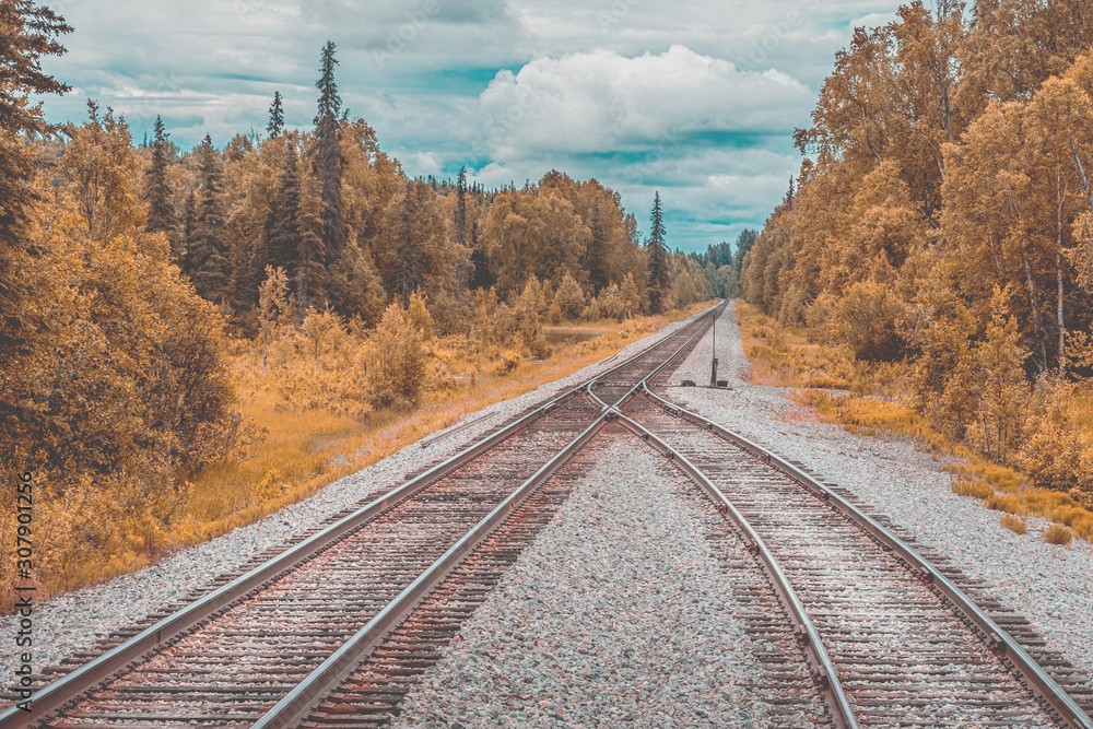 Fototapeta premium Lay down the tracks