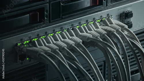 Macro Shot: Person Plugs in RJ45 Internet Connector into LAN Router Switch. Information Communication Network with Data Cables Connected to Modem Ports with Flashing Lights