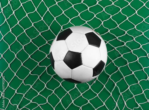 classic soccer ball and net isolated on green background