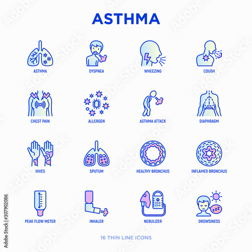 Asthma thin line icons set: allergen, dyspnea, cough, wheezing, chest pain, diaphragm, asthma attack, hives, sputum, peak flow meter, inhaler, nebulizer. Modern vector illustration.