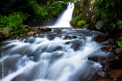 waterfall in the forest