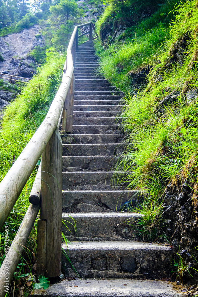Obraz premium old steps at a forest