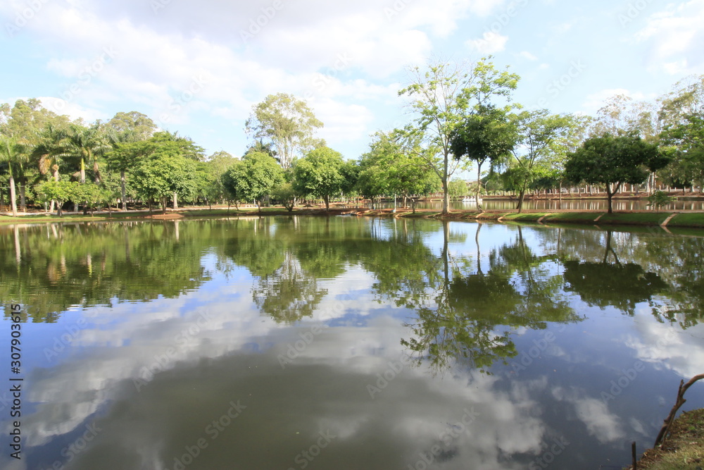 Obraz premium lake in forest