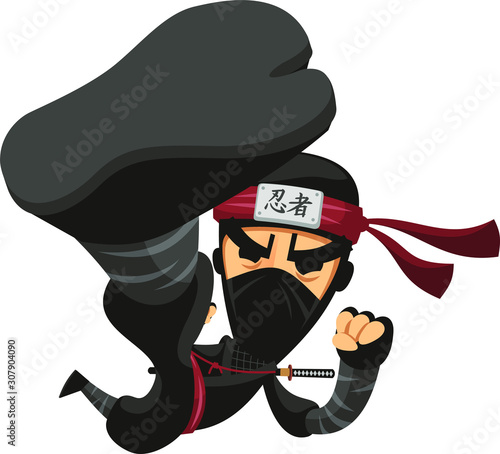 ninja kick