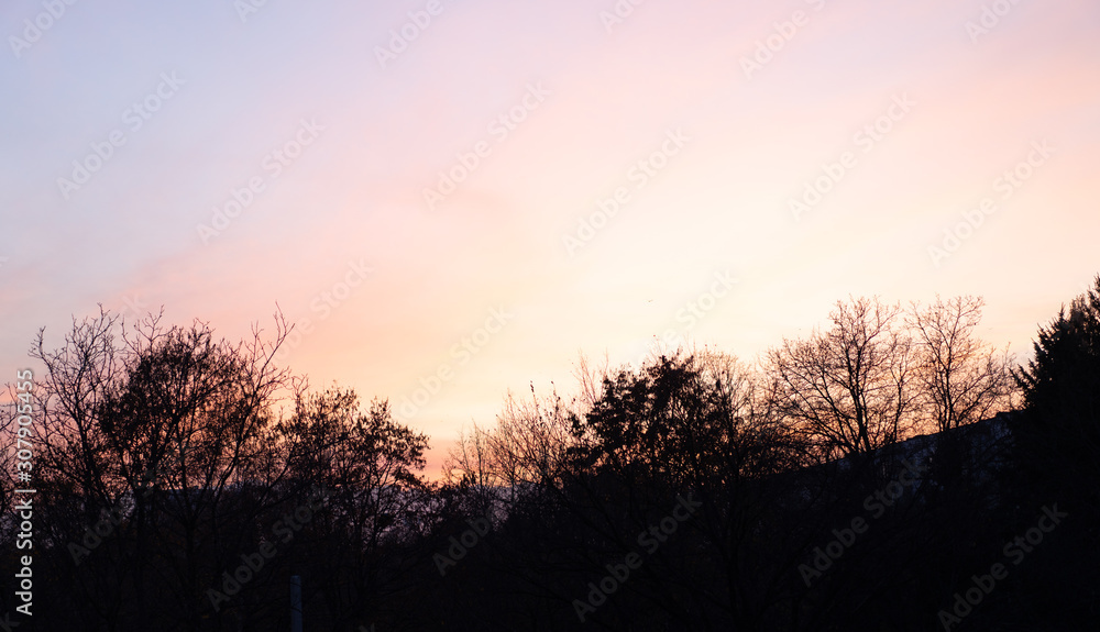 Purple sky at sunset in the fall