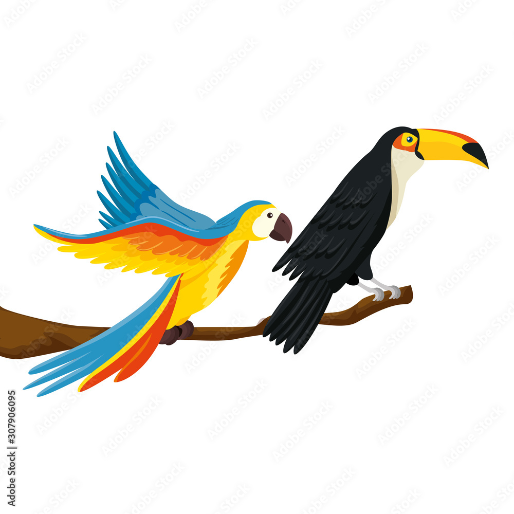 parrot with toucan on branch isolated icon vector illustration design