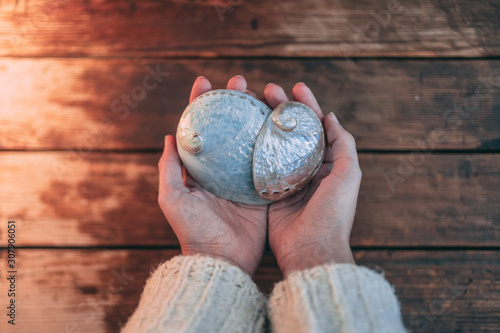 Two woman hands holding two beautiful mother of pearl shells on a wooden background