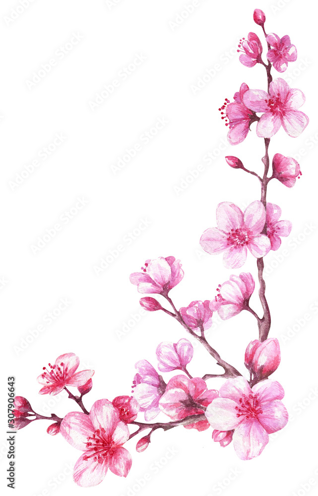  Watercolor seamless composition with blooming cherry. Sakura.