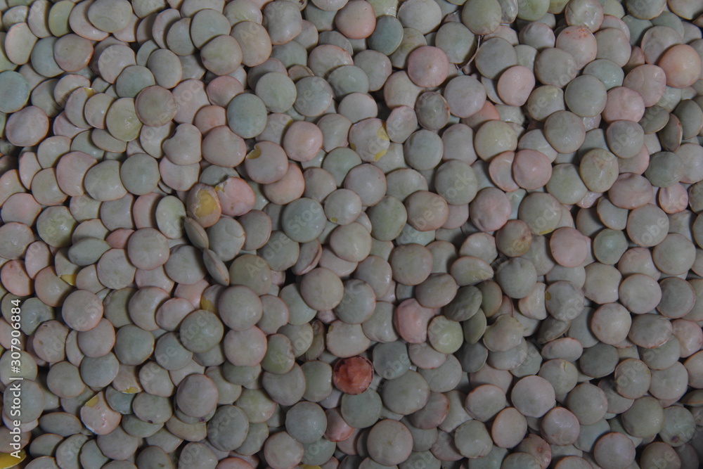 Close up of dried green lentils. Green lentils pattern as background.
