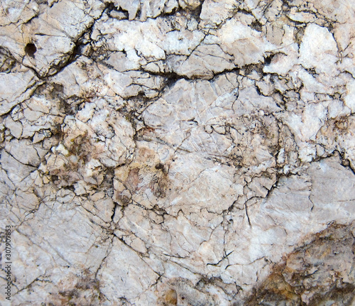 Texture of a sedimentary limestone rock with cracks 