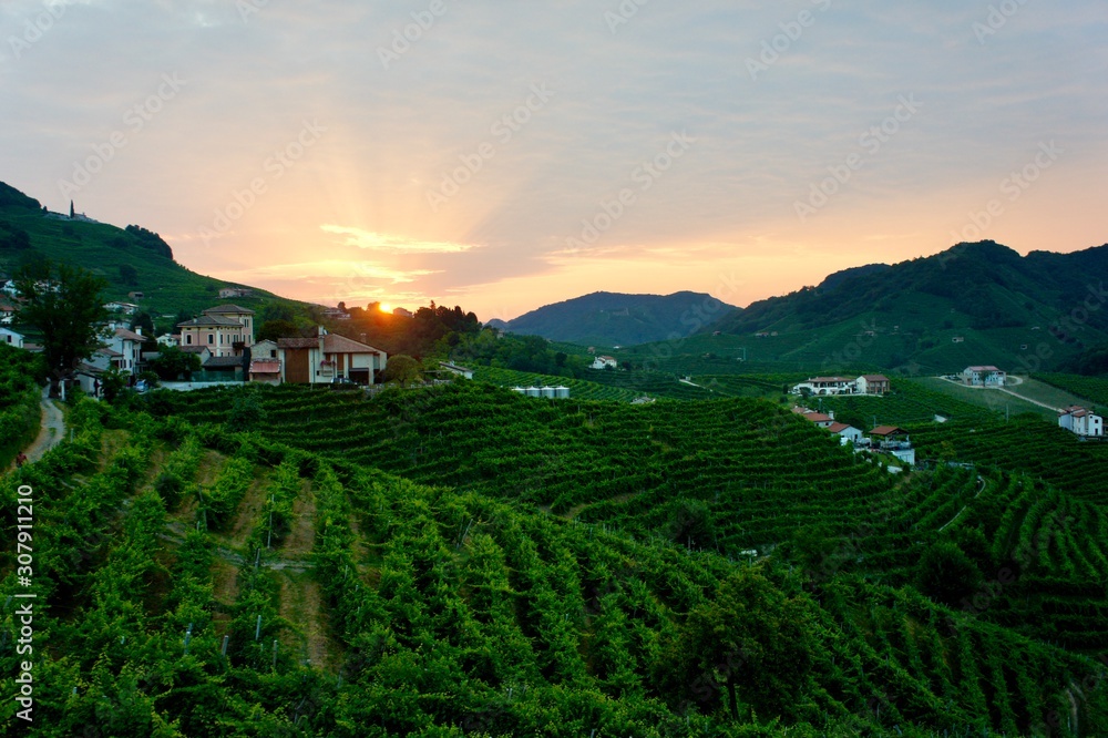 Sunrise in prosecco vineyards in Valdobbiadene, Italy Sunrise in prosecco vineyards in Valdobbiadene, Italy