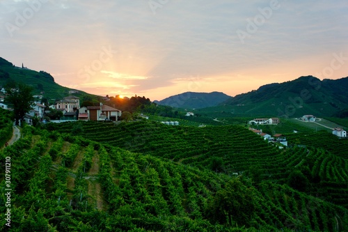 Sunrise in prosecco vineyards in Valdobbiadene, Italy