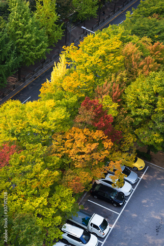Parking lot and autumn trees from the above.