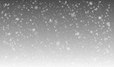 Vector snowfall, seamless realistic falling snow, snowflakes in different shapes and forms. Snow flakes, snow background. Christmas, winter wether. Nappy new year. Vector design for banner, post