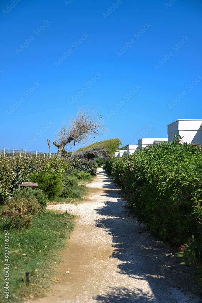 Fototapeta premium Modern Bungalows Holidays Houses with Garden and Path