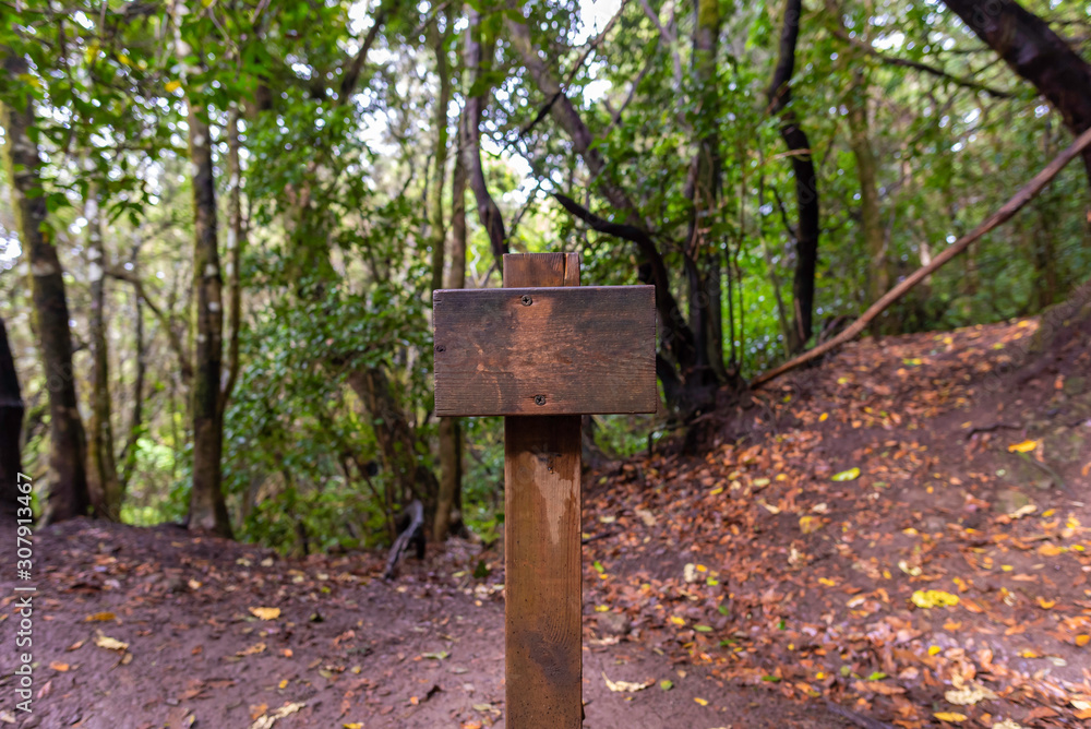 Letrero de madera en un sendero. Letrero de madera en un sendero.